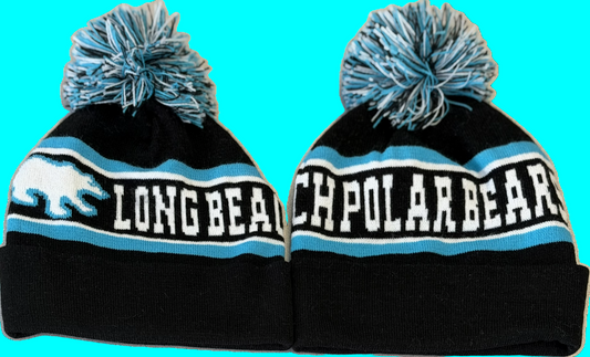 2026 Pom Pom Knit Hat